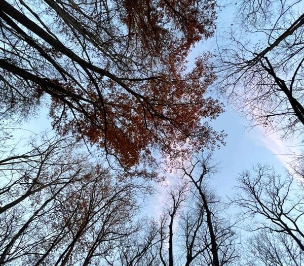 "Klimt gold, this fleeting grasp/Hold to each other"